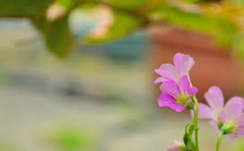 Câu chuyện về luật nhân quả
